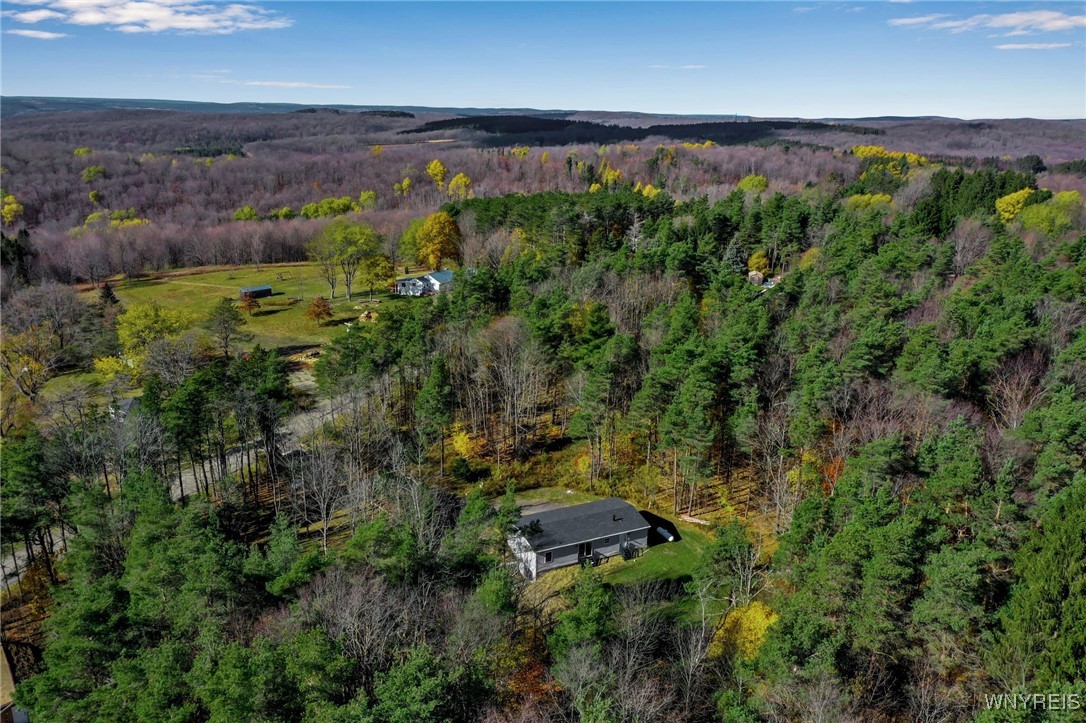7784 Irish Hill Road Ellicottville, NY 14171 - Photo 3 of 37