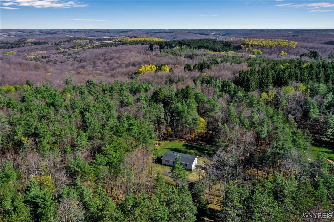 7784 Irish Hill Road Ellicottville, NY 14171 - Photo 33 of 37