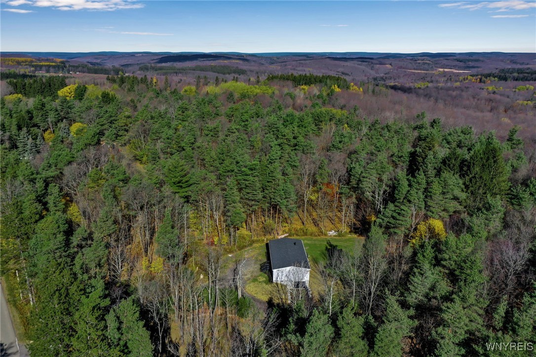 7784 Irish Hill Road Ellicottville, NY 14171 - Photo 34 of 37