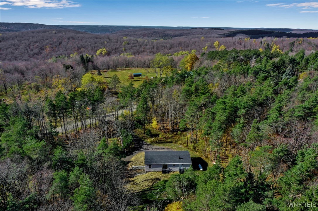 7784 Irish Hill Road Ellicottville, NY 14171 - Photo 35 of 37