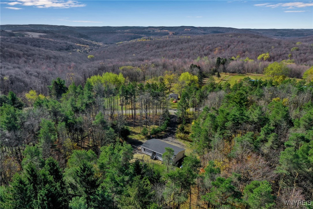 7784 Irish Hill Road Ellicottville, NY 14171 - Photo 36 of 37