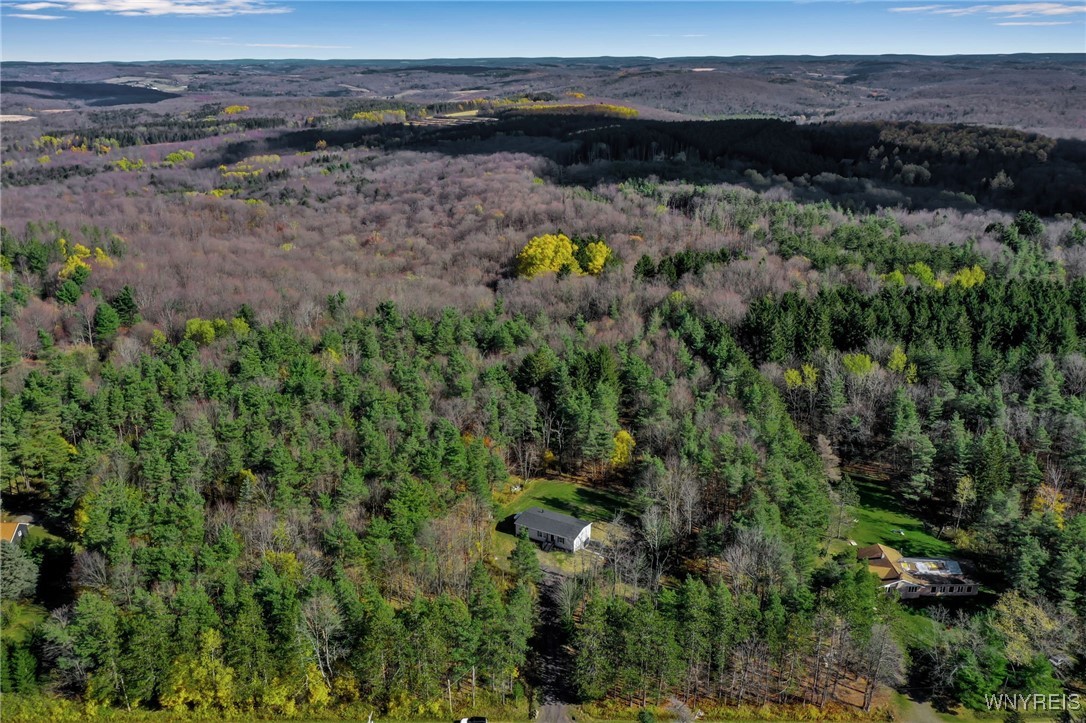 7784 Irish Hill Road Ellicottville, NY 14171 - Photo 37 of 37