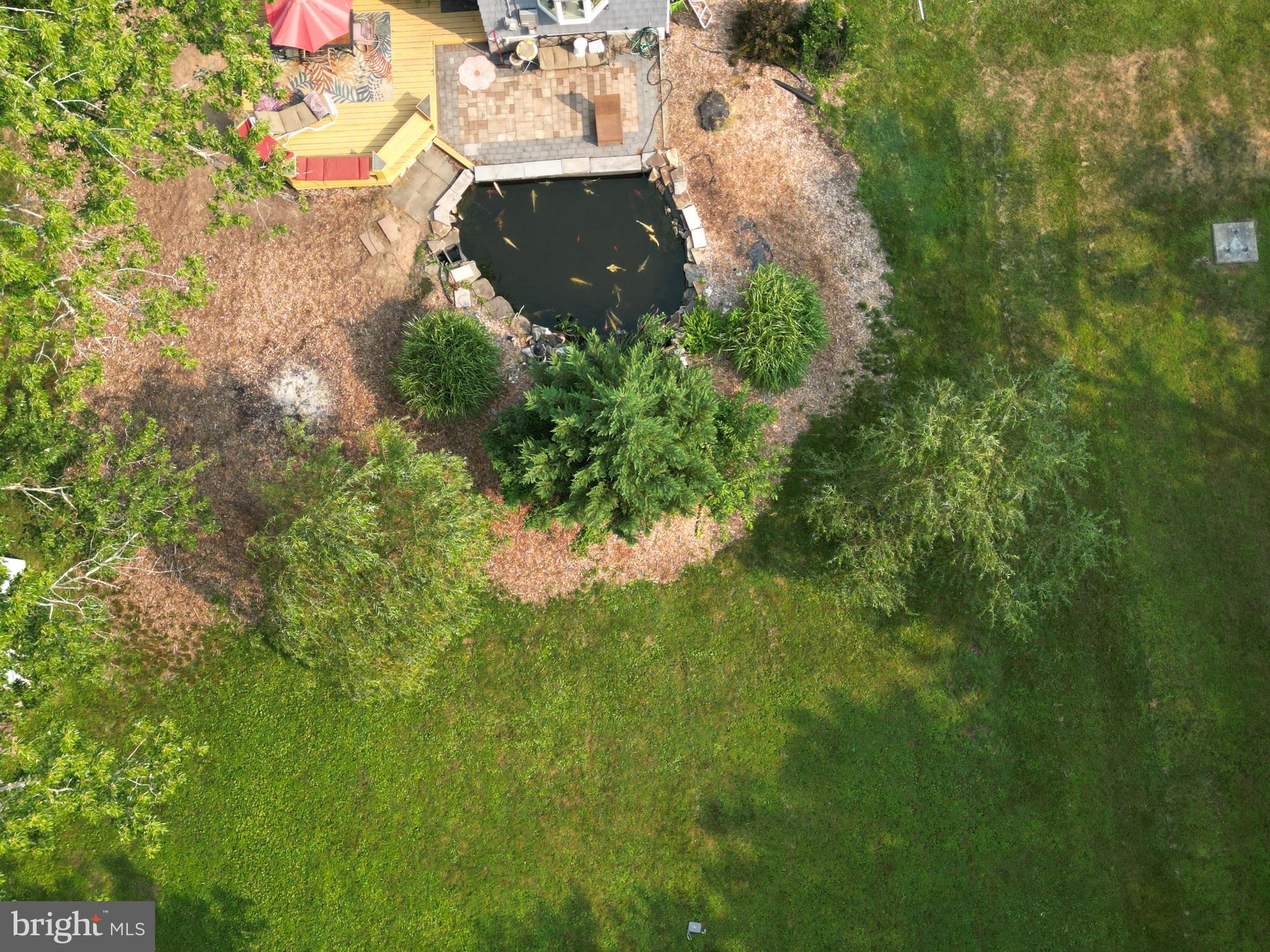101 Denow Road Lawrence Township, NJ 08648 - Photo 7 of 24 Aerial Koi Pond & Deck