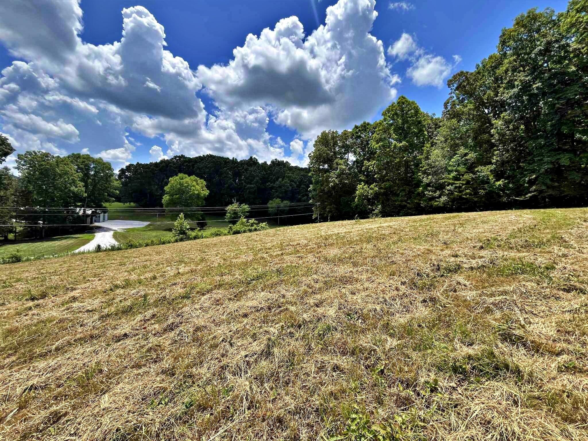 2 Keylon Hollow Road Ten Mile, TN 37880 - Photo 2 of 10