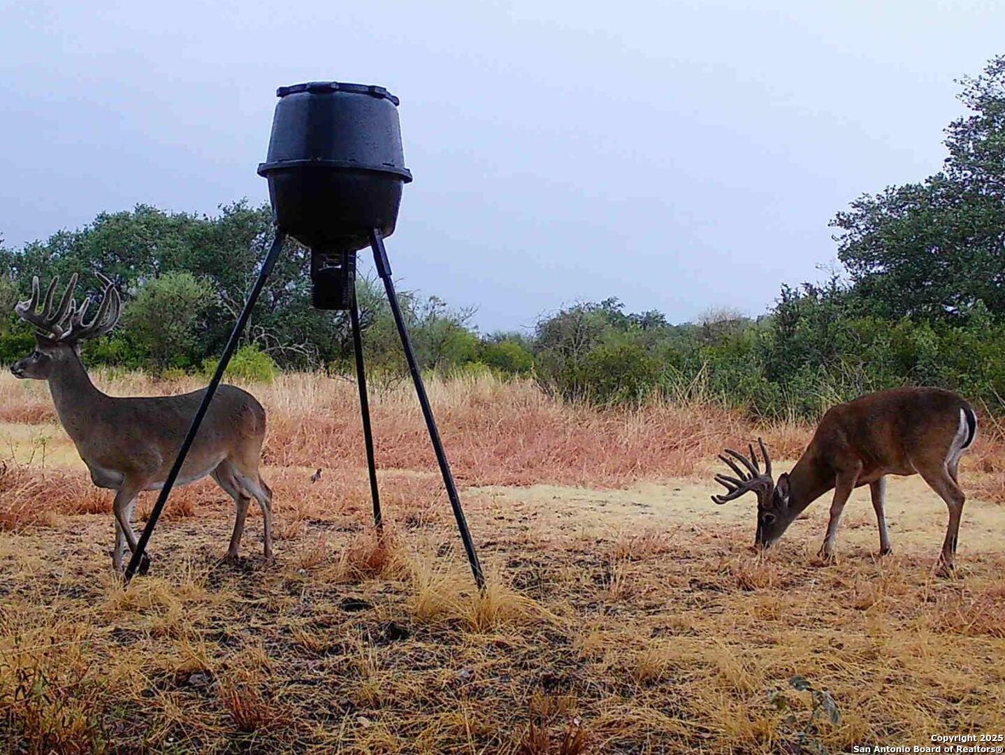 a view of a chairs in a backyard