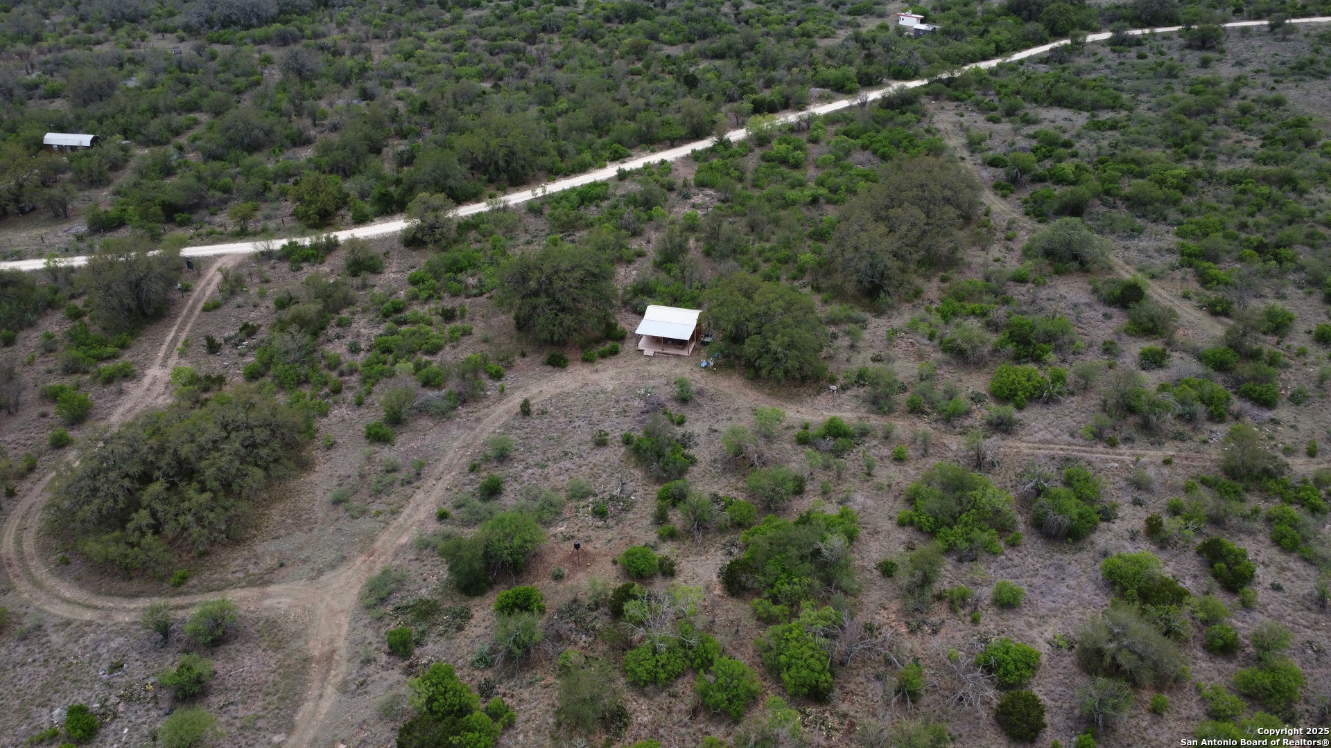 234 Pvt Road Sabinal, TX 78881 - Photo 11 of 32 a view of a forest with a tree
