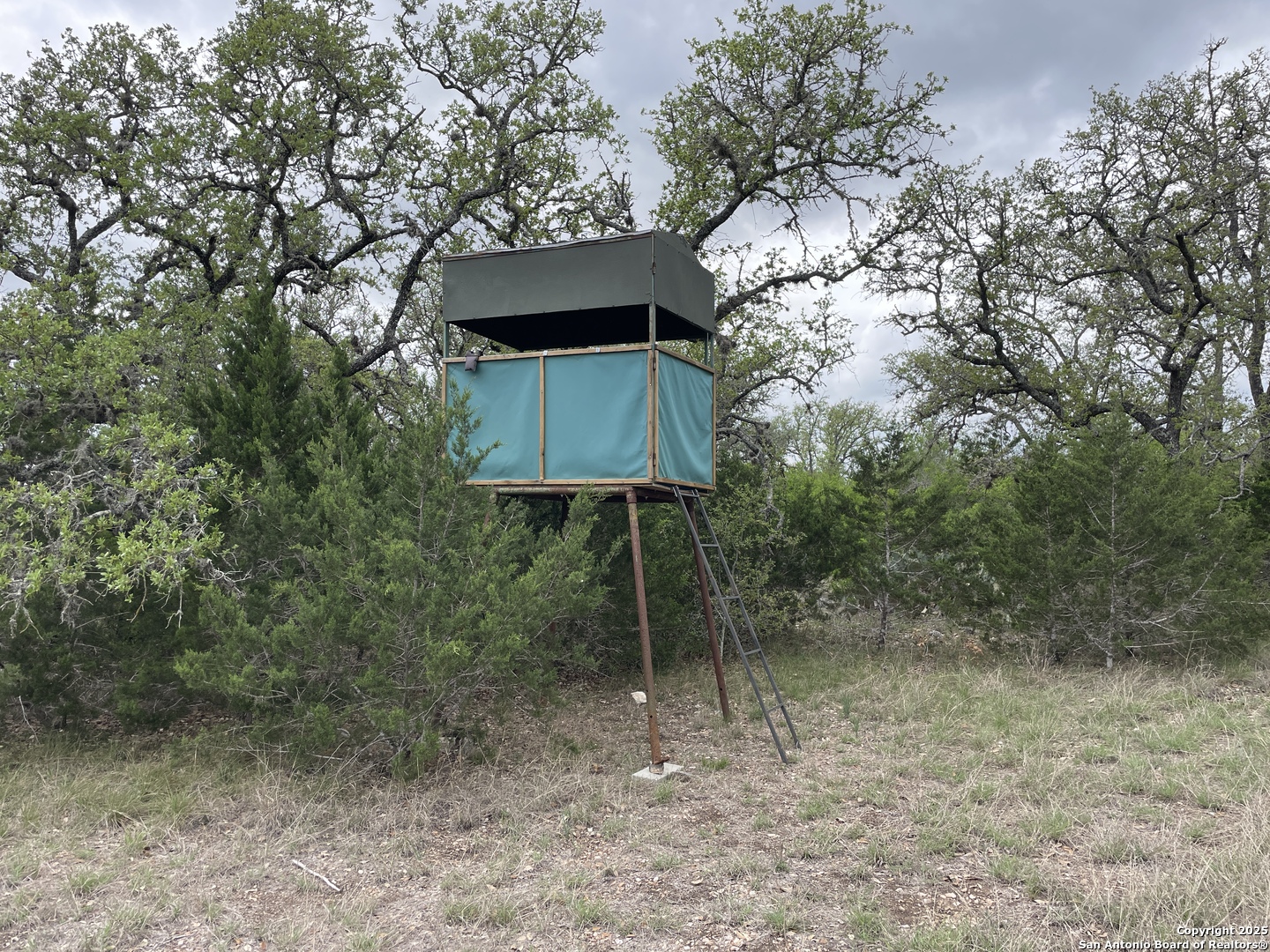 234 Pvt Road Sabinal, TX 78881 - Photo 12 of 32 a backyard of a house with table and chairs