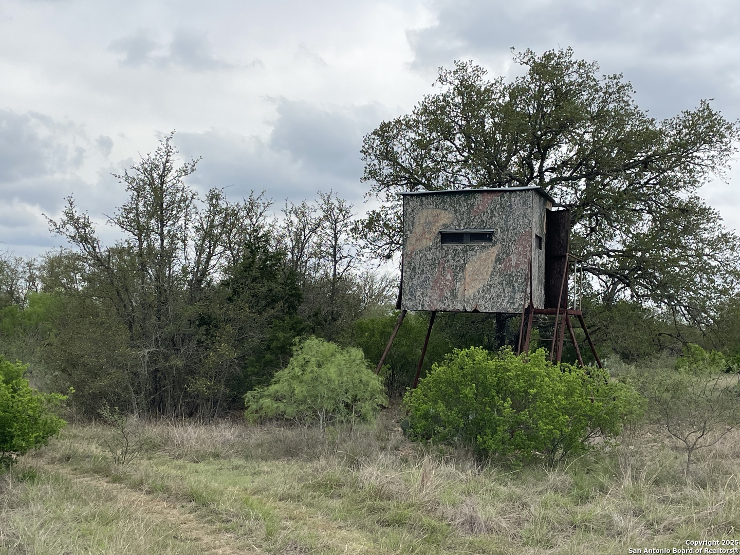 234 Pvt Road Sabinal, TX 78881 - Photo 13 of 32 an aerial view of a house with a yard