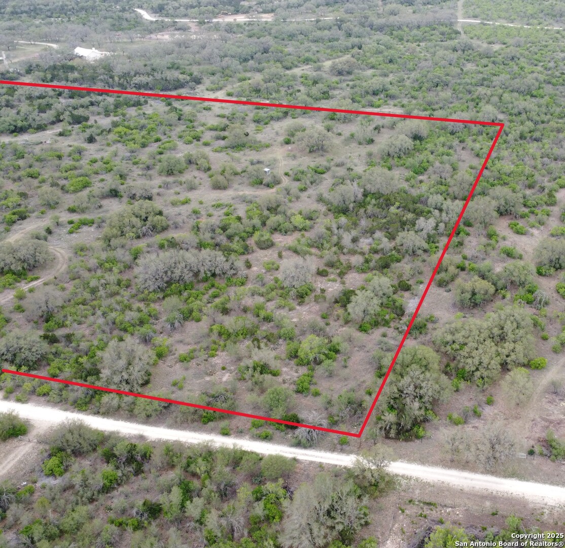 234 Pvt Road Sabinal, TX 78881 - Photo 16 of 32 a view of a field with flowers