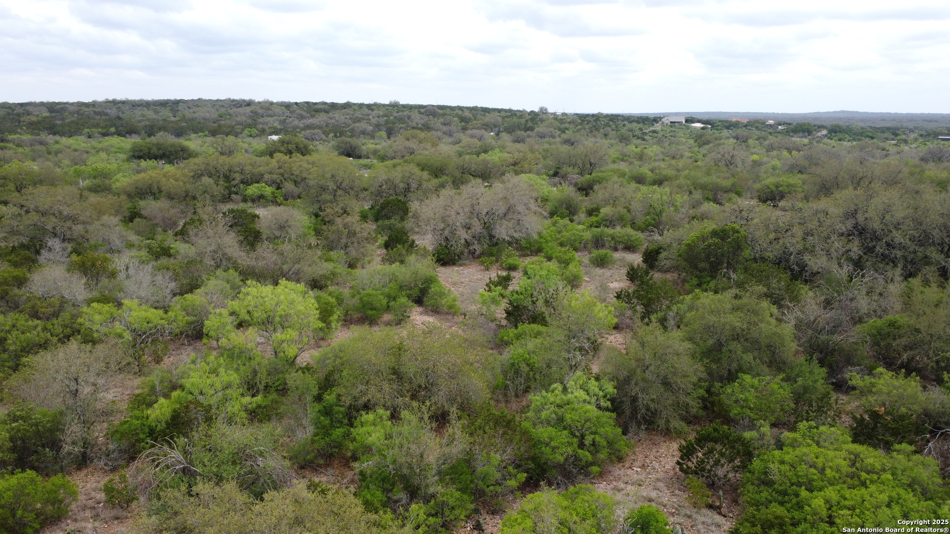234 Pvt Road Sabinal, TX 78881 - Photo 19 of 32 an aerial view of forest