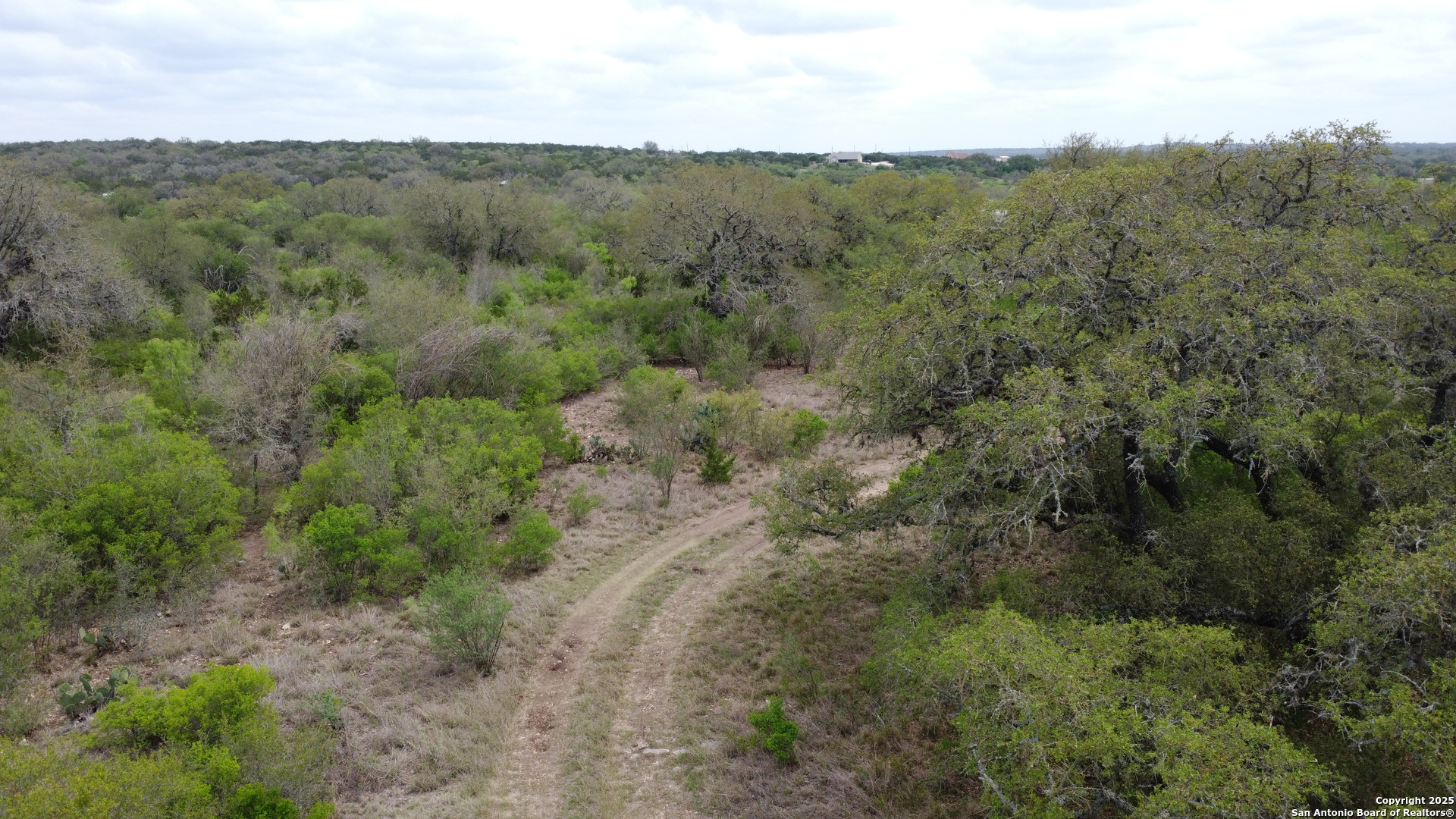 234 Pvt Road Sabinal, TX 78881 - Photo 21 of 32 an aerial view of forest