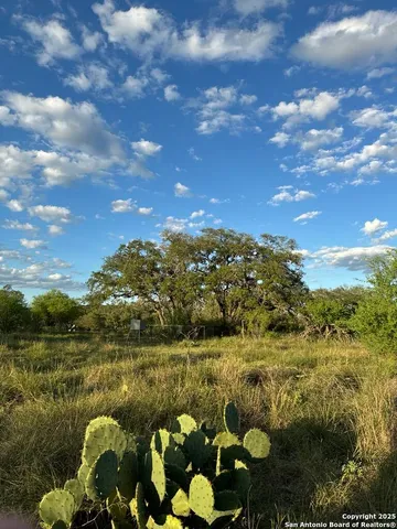 a view of a back yard of the house