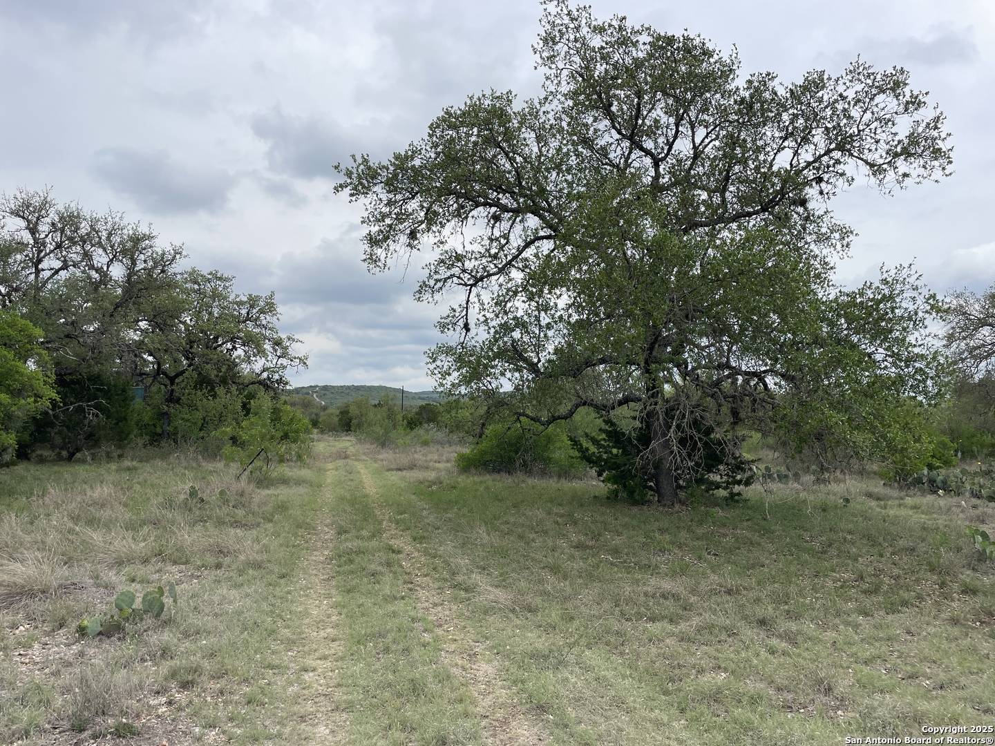 234 Pvt Road Sabinal, TX 78881 - Photo 30 of 32 a view of a field