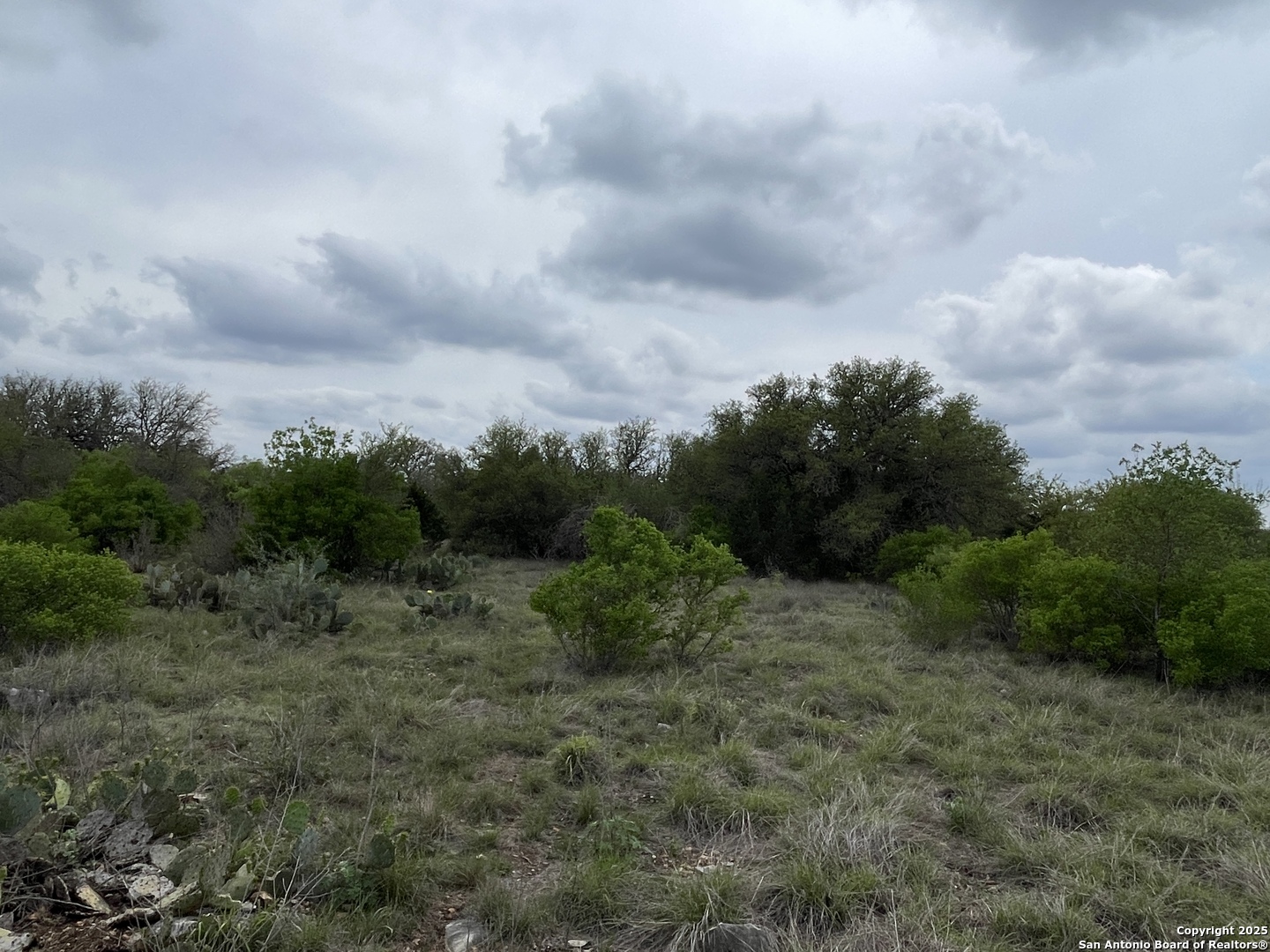 234 Pvt Road Sabinal, TX 78881 - Photo 31 of 32 a view of a big yard with lots of green space