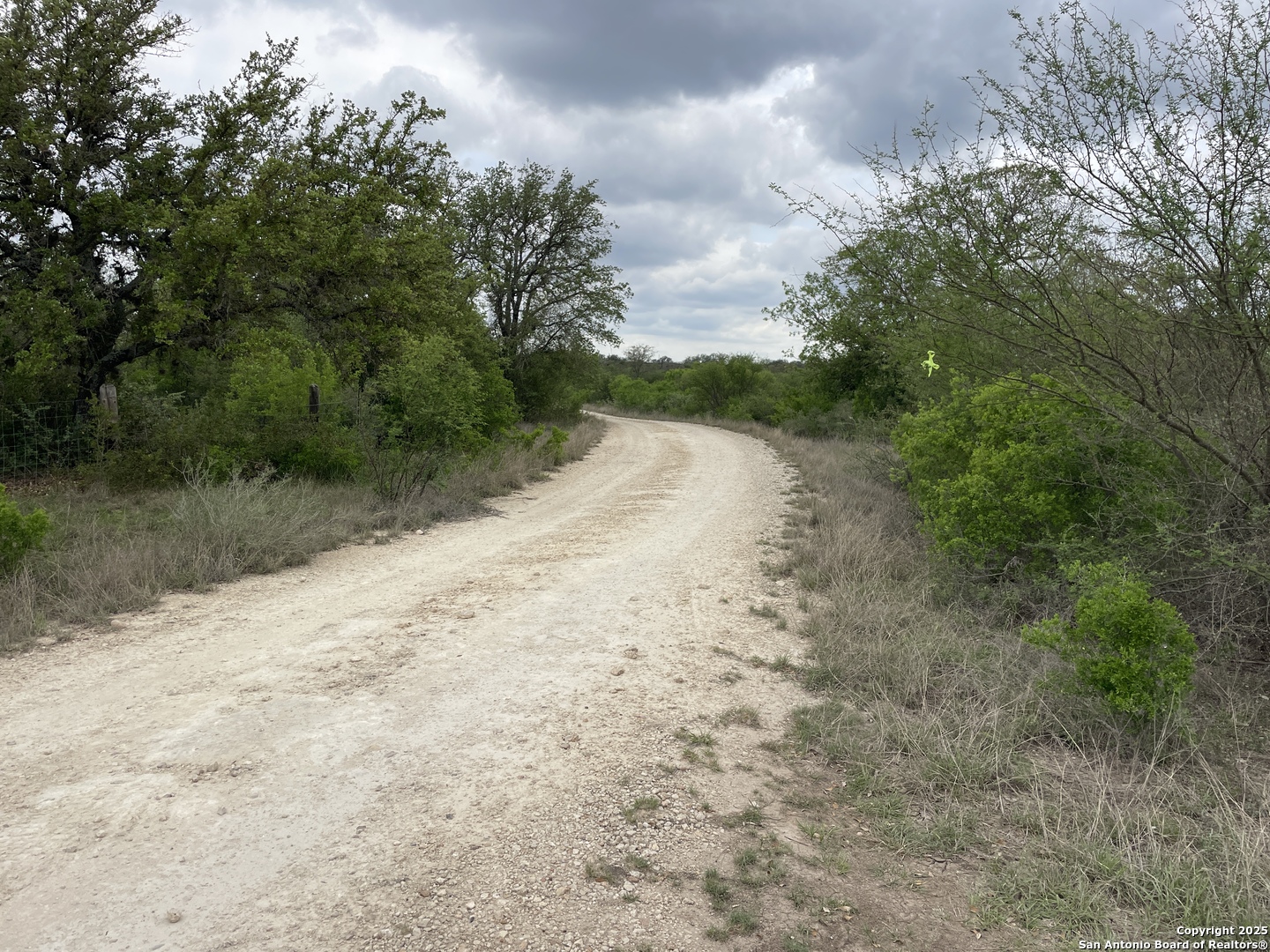 234 Pvt Road Sabinal, TX 78881 - Photo 32 of 32 a view of a dirt road with trees in the background