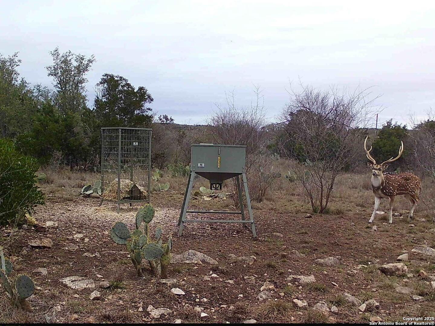 234 Pvt Road Sabinal, TX 78881 - Photo 4 of 32 a view of a bench in the middle of a yard