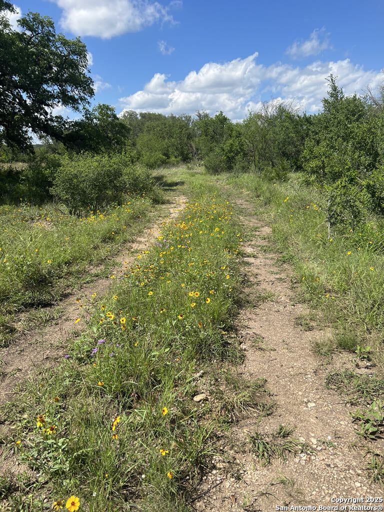 234 Pvt Road Sabinal, TX 78881 - Photo 6 of 32 a view of an outdoor space with a lake view