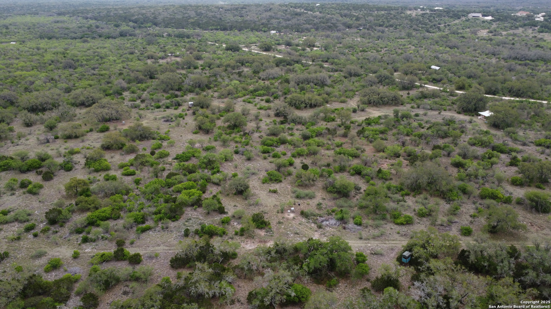 234 Pvt Road Sabinal, TX 78881 - Photo 9 of 32 a view of a forest with a street