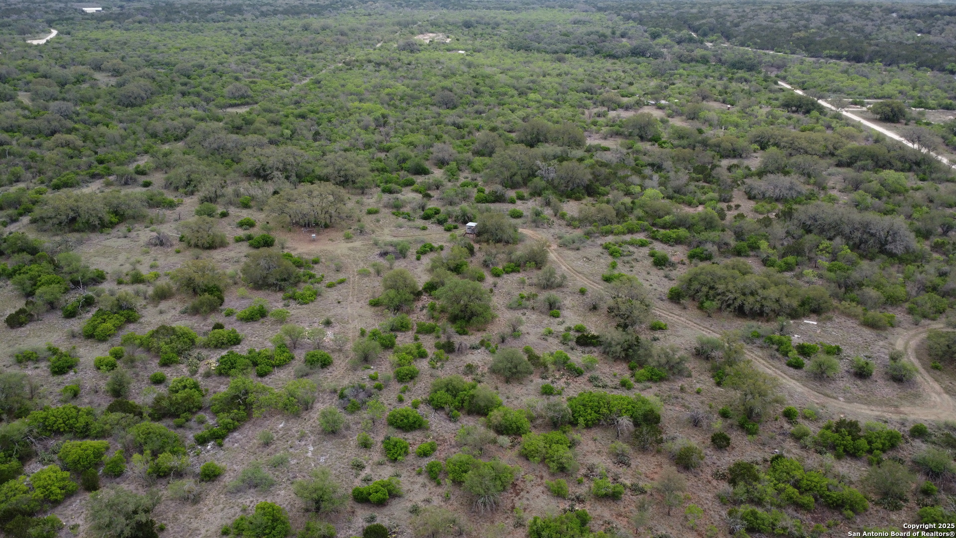 234 Pvt Road Sabinal, TX 78881 - Photo 10 of 32 a view of a forest with lots of trees