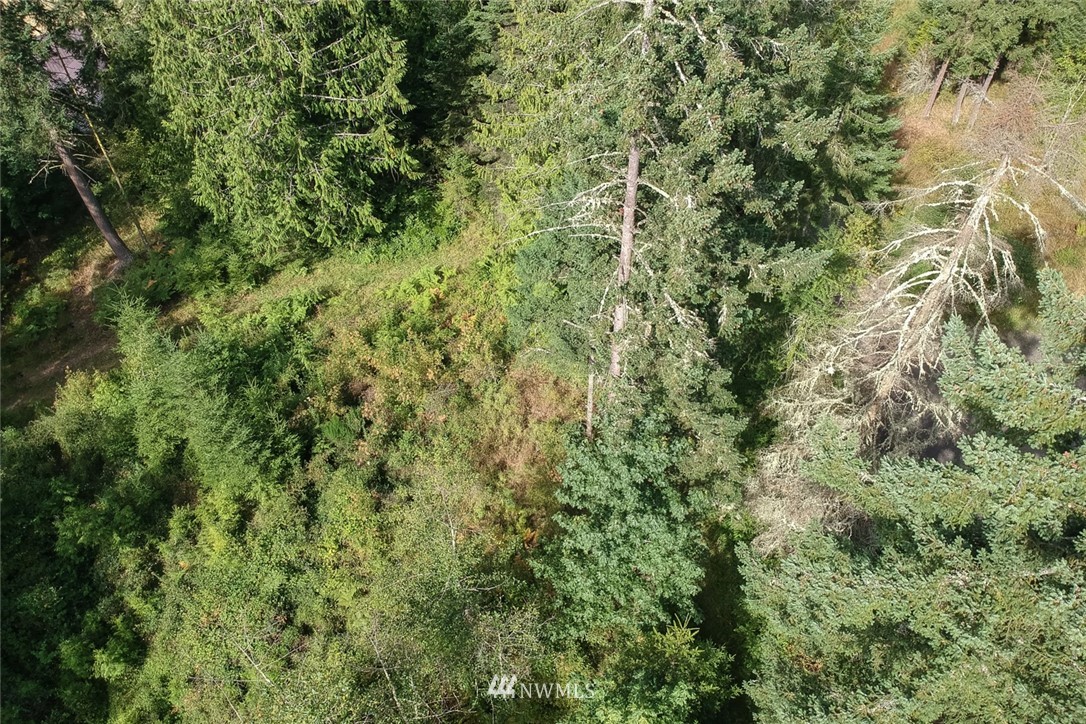 9999 Springwater Lane Sequim, WA 98382 - Photo 19 of 27