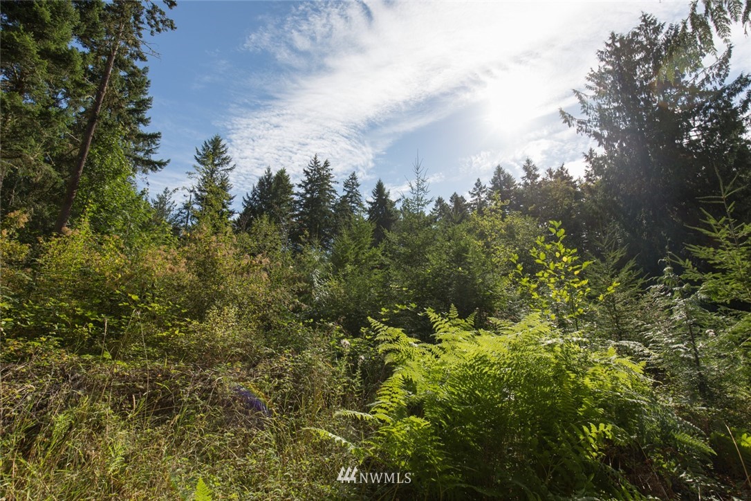 9999 Springwater Lane Sequim, WA 98382 - Photo 6 of 27