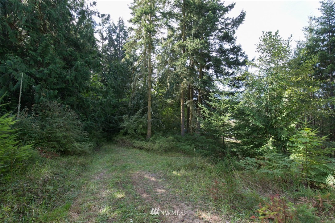 9999 Springwater Lane Sequim, WA 98382 - Photo 7 of 27