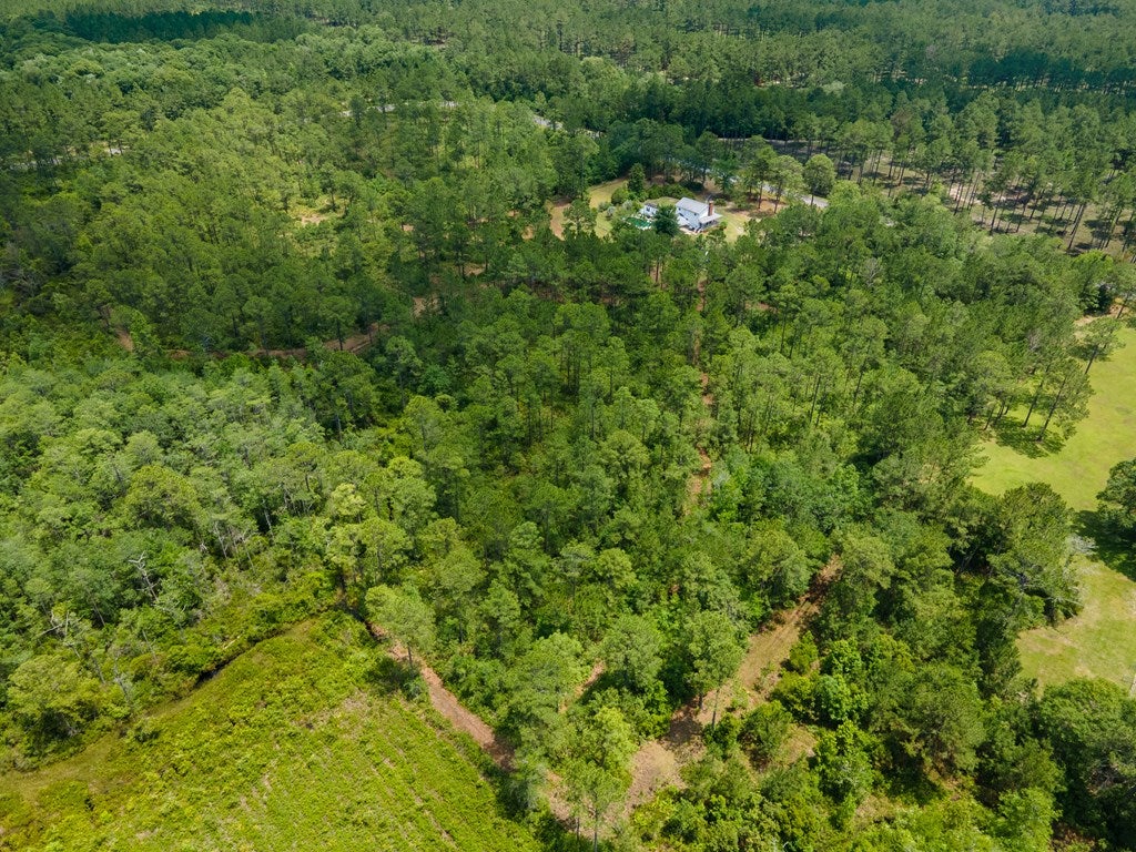 Tract A Quarterman Road Hahira, GA 31632 - Photo 7 of 8 Gallery Image 7