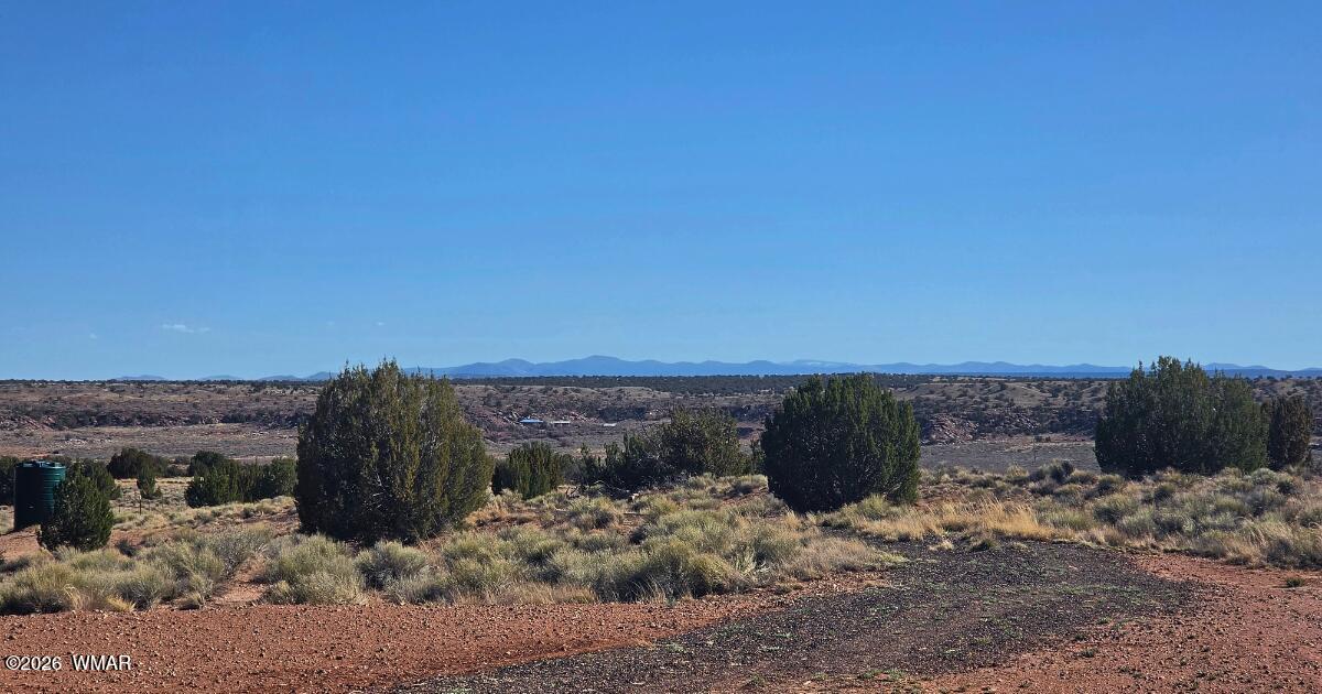 Lot 632 Lazy S Ranch Road Concho, AZ 85924 - Photo 22 of 27