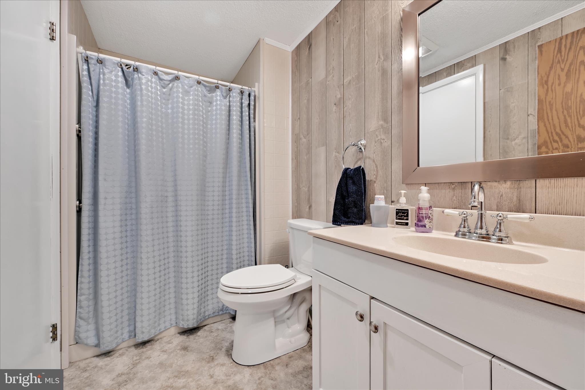 64 Maple Avenue Manheim, PA 17545 - Photo 20 of 36 a bathroom with a sink a toilet a mirror and shower curtain