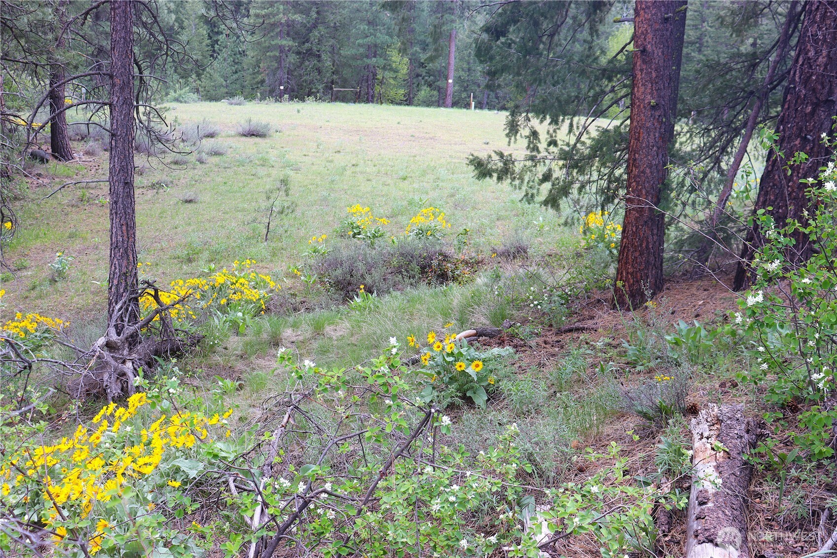 799 Twisp River Road Twisp, WA 98856 - Photo 15 of 31