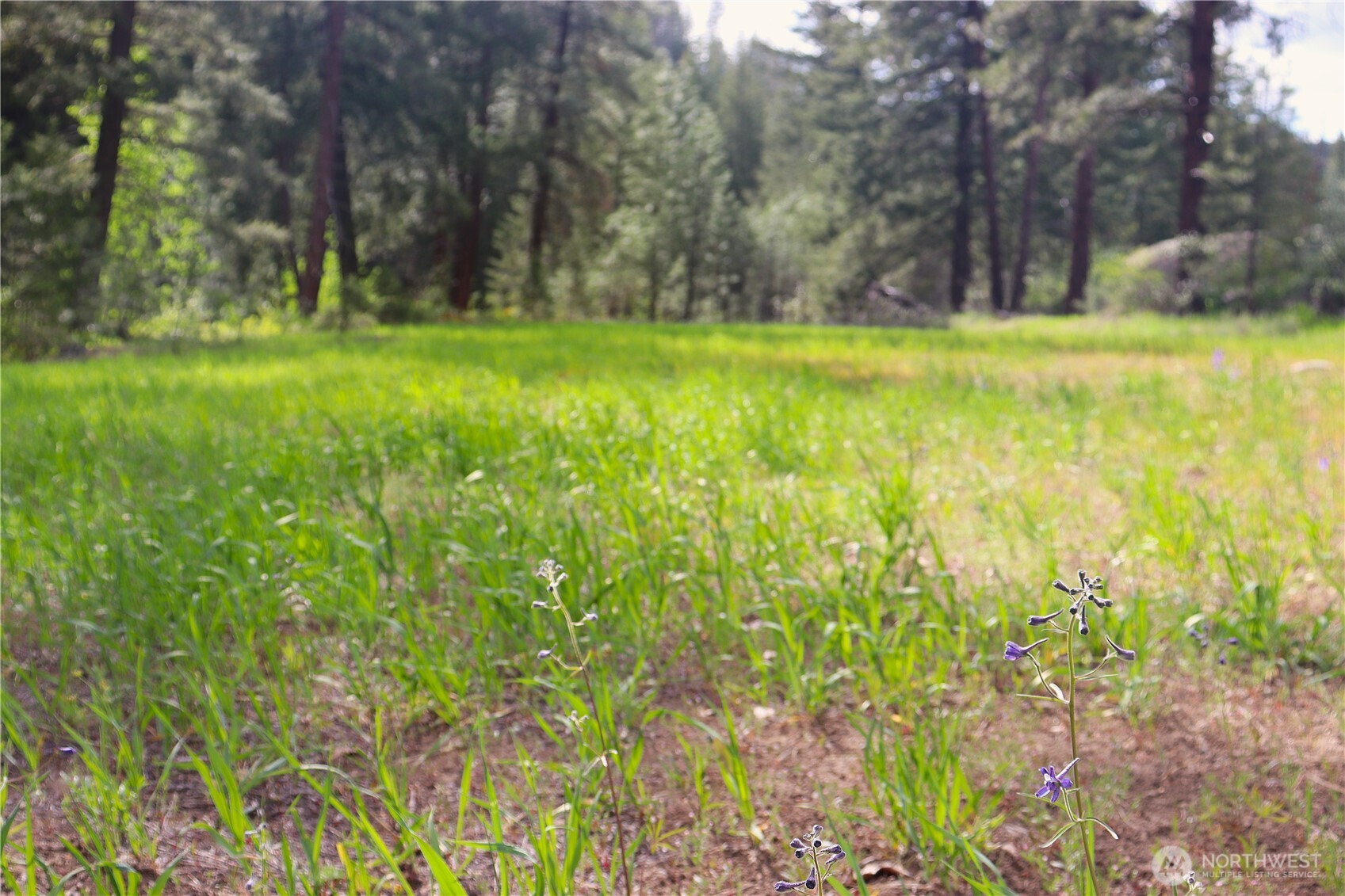 799 Twisp River Road Twisp, WA 98856 - Photo 16 of 31