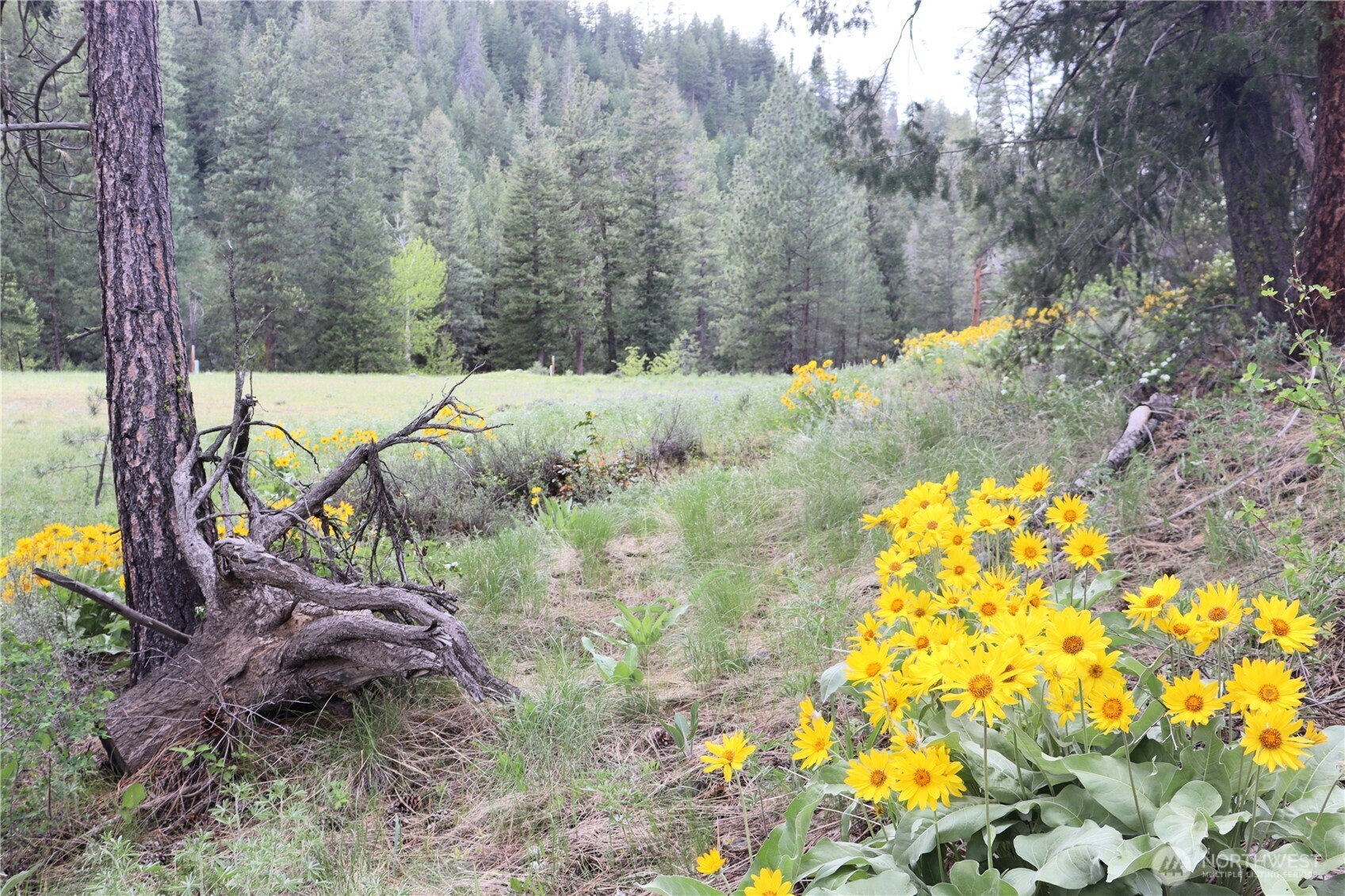799 Twisp River Road Twisp, WA 98856 - Photo 19 of 31