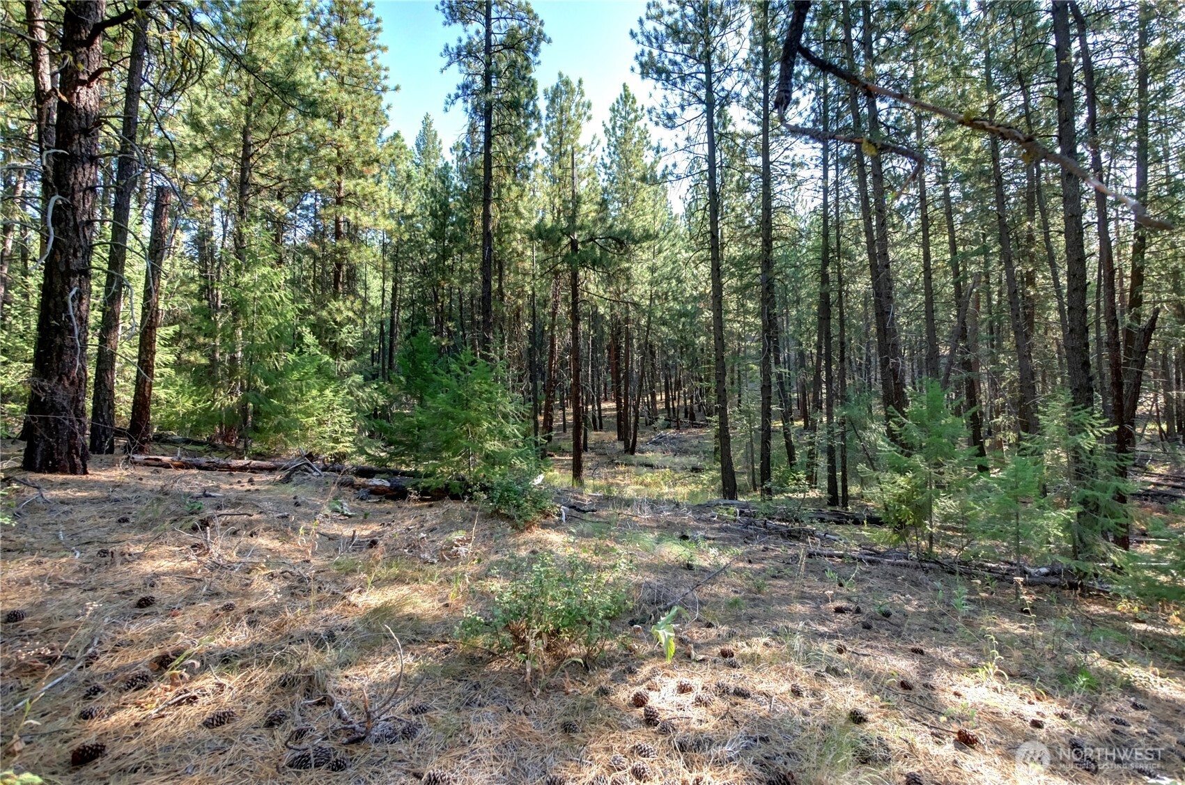 799 Twisp River Road Twisp, WA 98856 - Photo 23 of 31