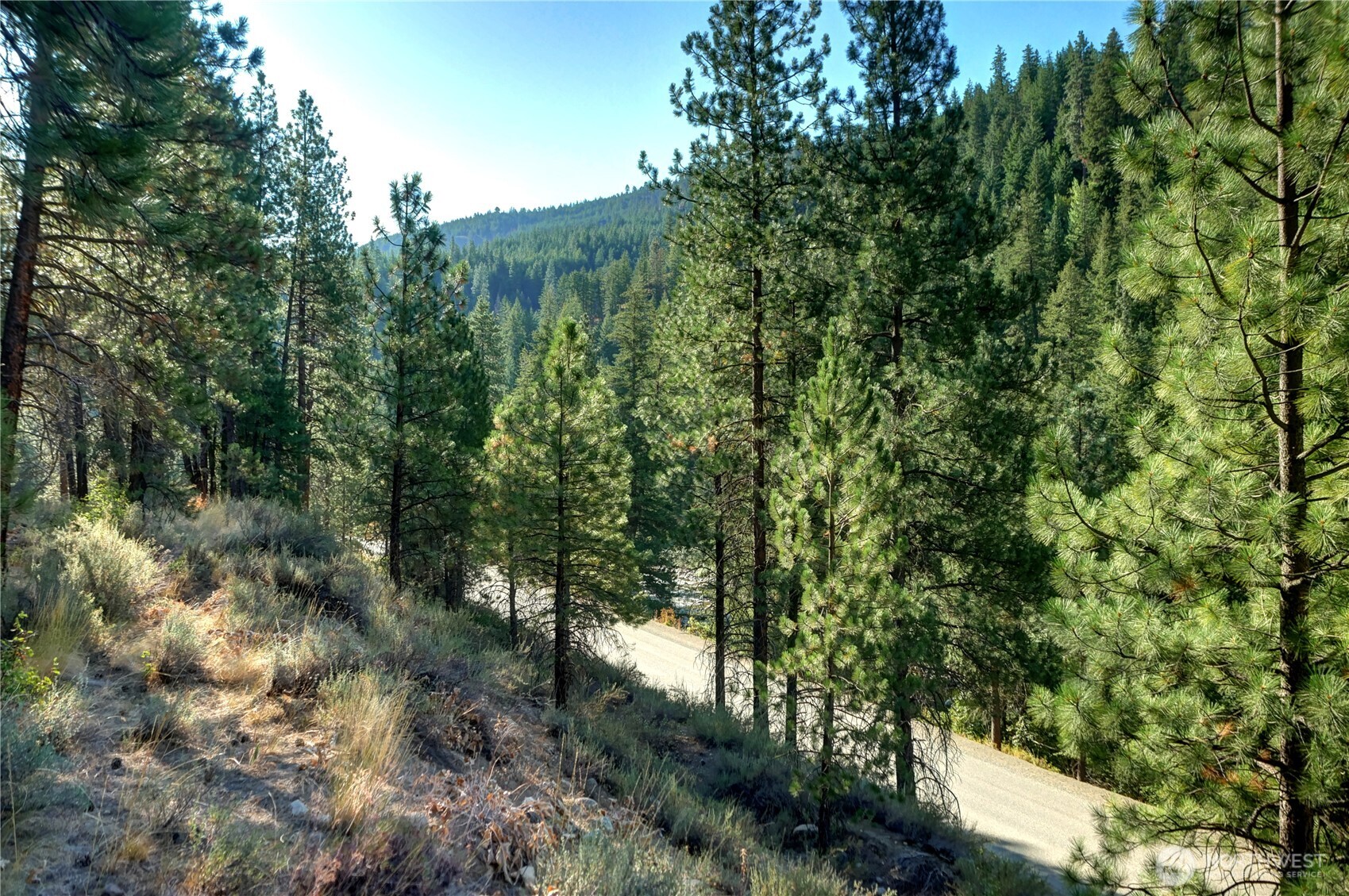 799 Twisp River Road Twisp, WA 98856 - Photo 27 of 31