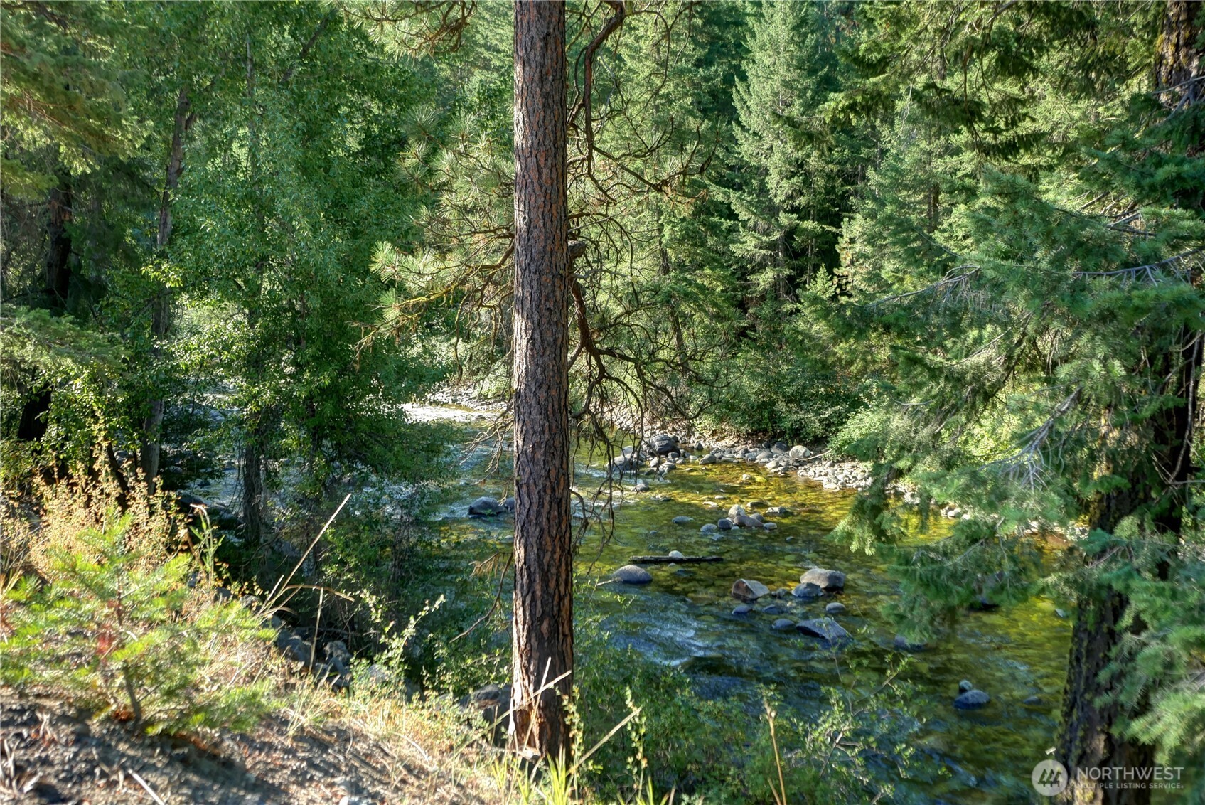 799 Twisp River Road Twisp, WA 98856 - Photo 30 of 31