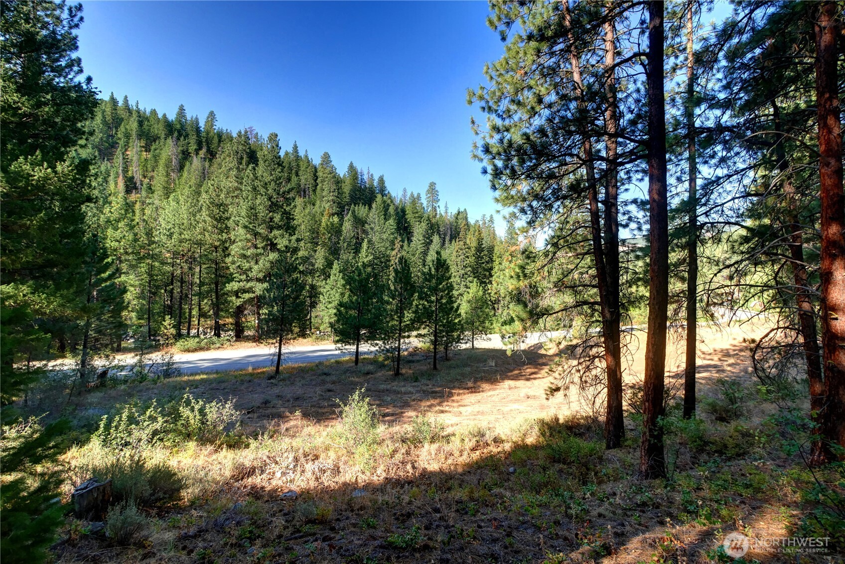 799 Twisp River Road Twisp, WA 98856 - Photo 4 of 31