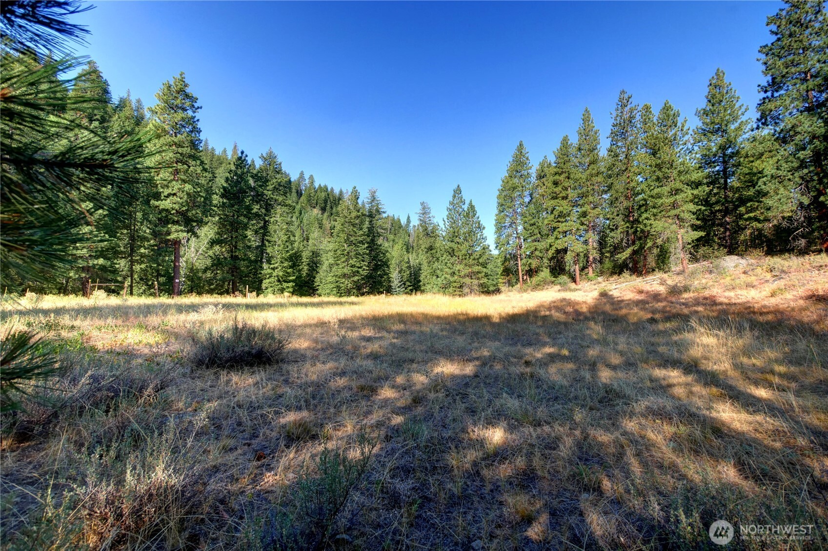 799 Twisp River Road Twisp, WA 98856 - Photo 5 of 31