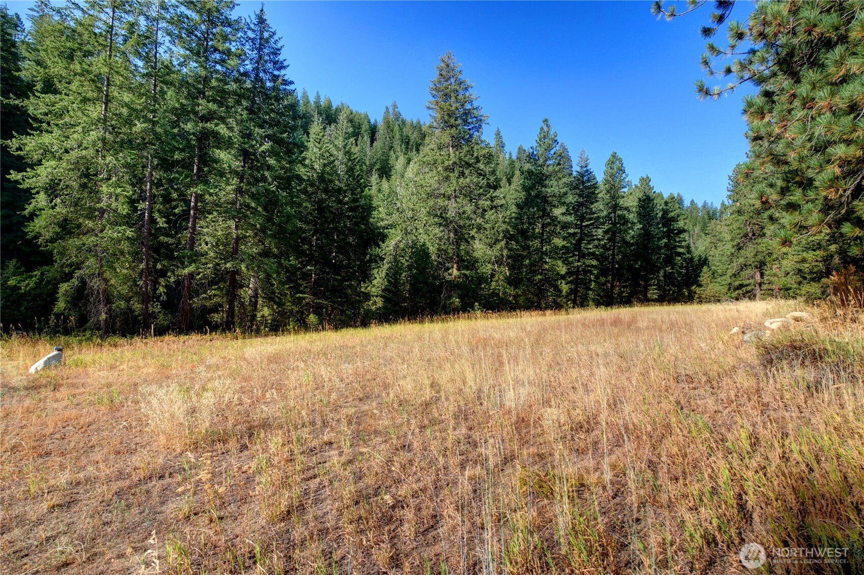 799 Twisp River Road Twisp, WA 98856 - Photo 6 of 31