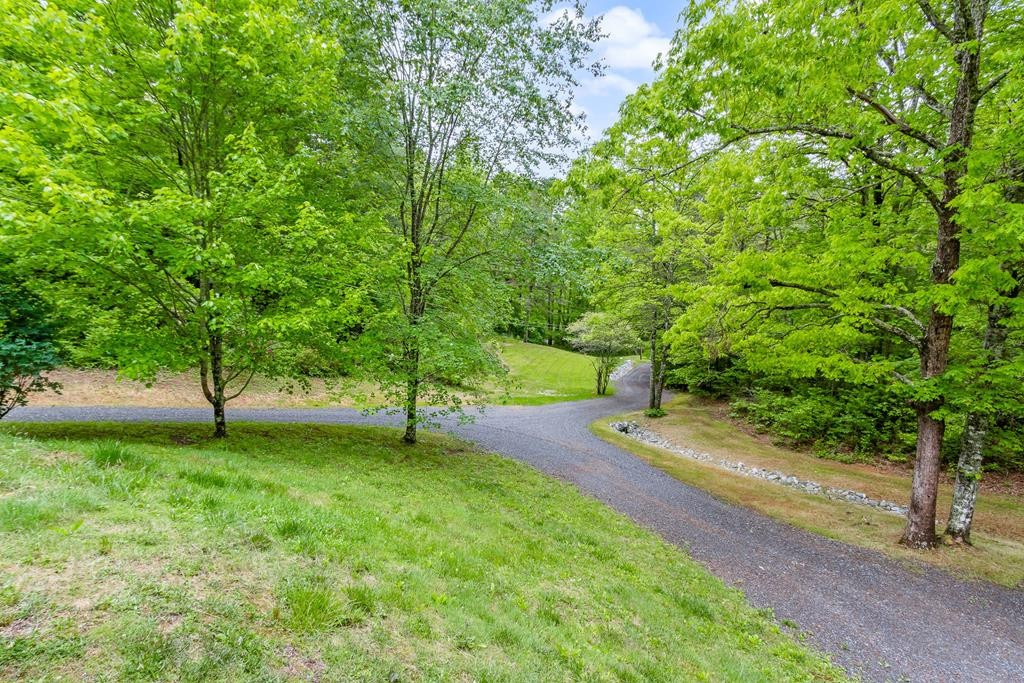 1374 Long Branch Road Marble, NC 28905 - Photo 50 of 54