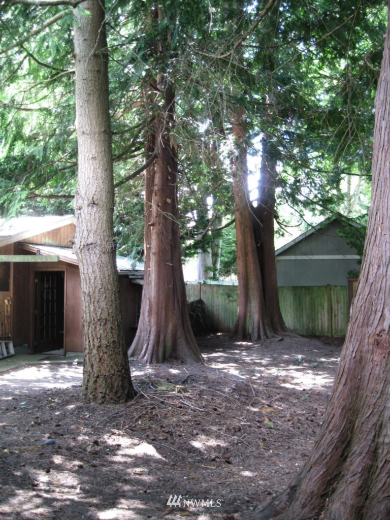 8517 200th Street Southwest Edmonds, WA 98026 - Photo 16 of 25 Gallery Image 16