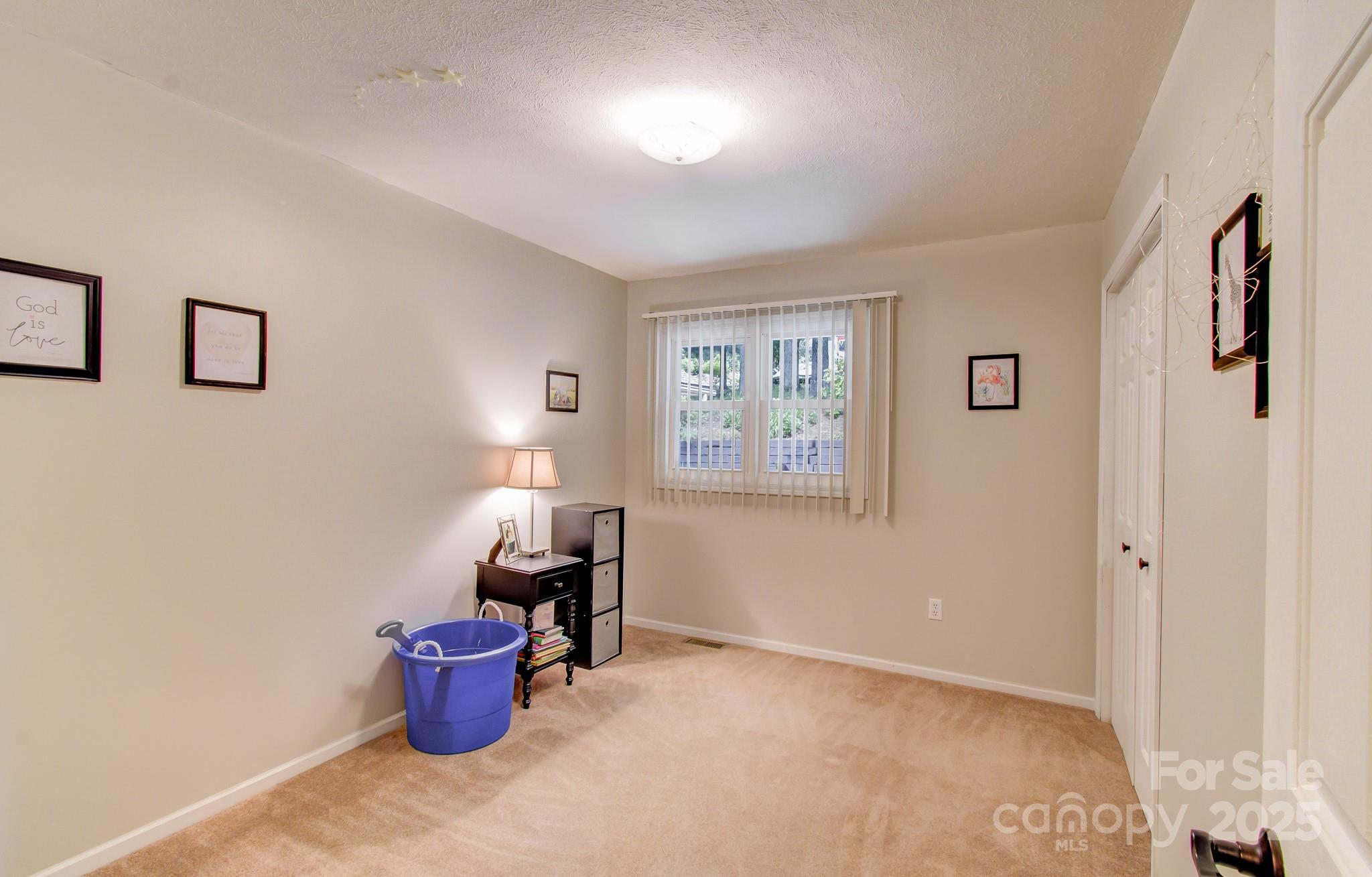 110 Spring Path Hendersonville, NC 28739 - Photo 25 of 43