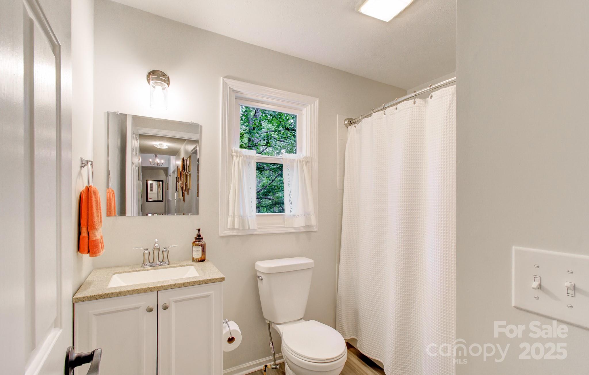 110 Spring Path Hendersonville, NC 28739 - Photo 27 of 43