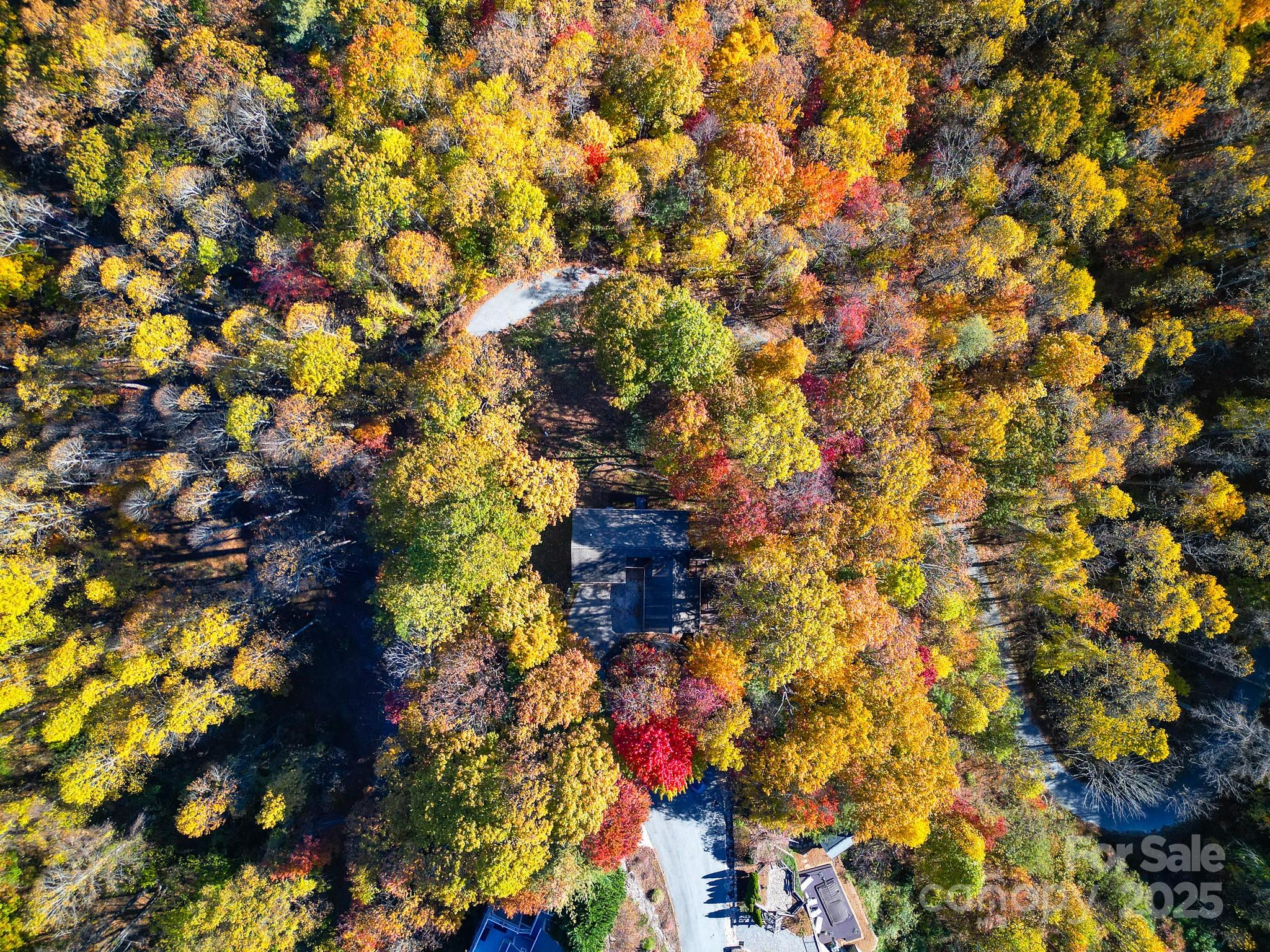 110 Spring Path Hendersonville, NC 28739 - Photo 3 of 43
