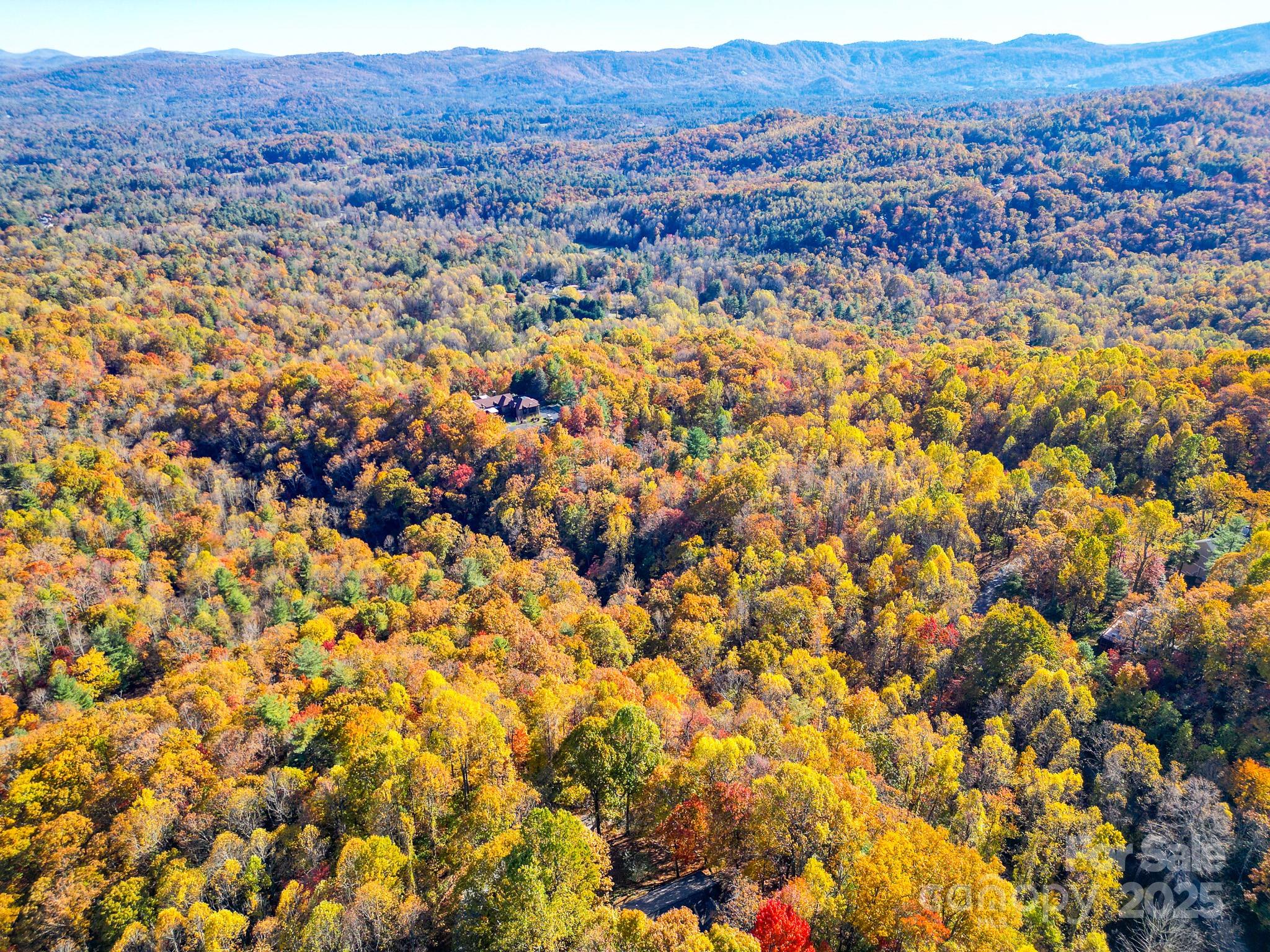 110 Spring Path Hendersonville, NC 28739 - Photo 41 of 43