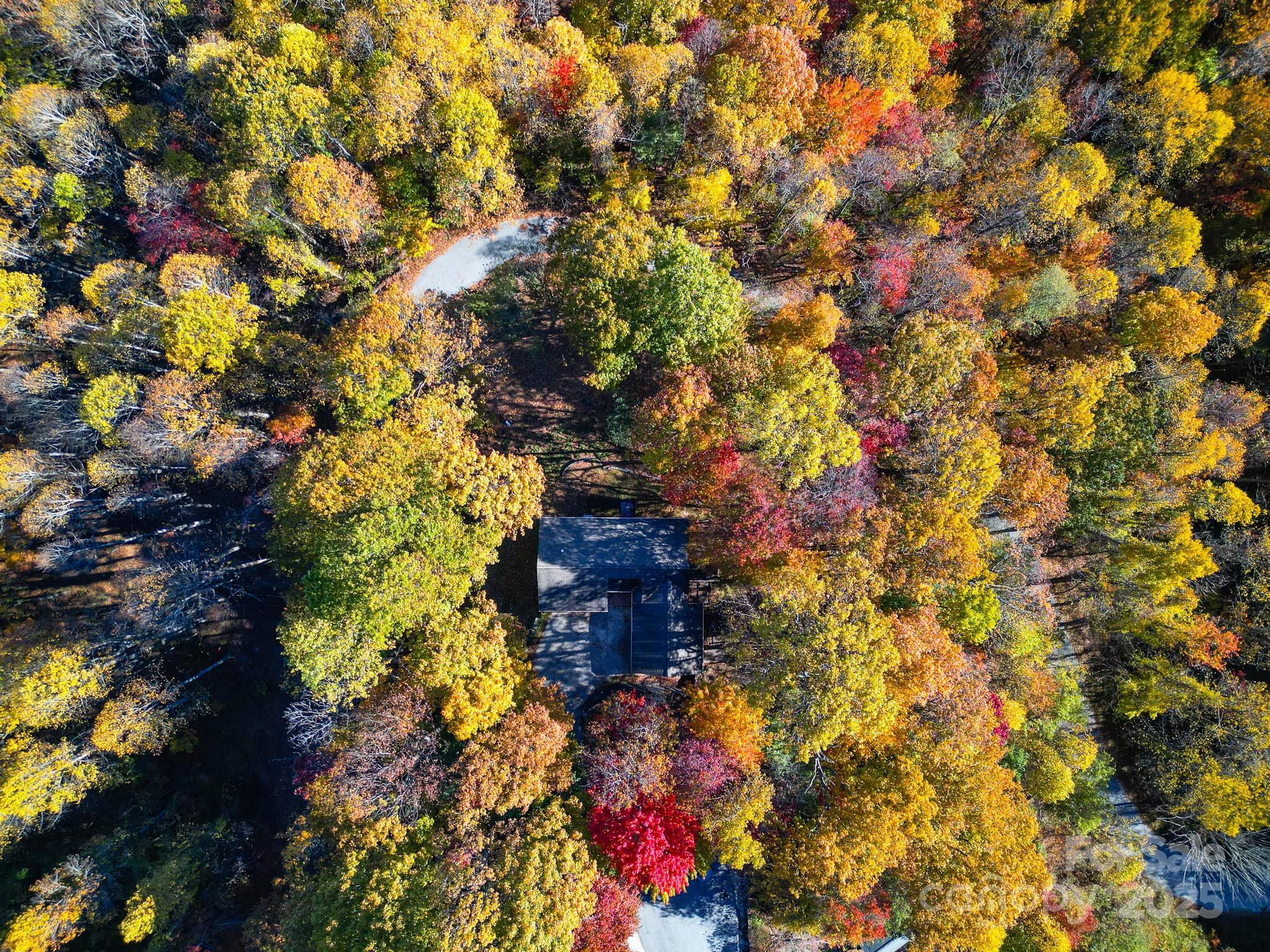110 Spring Path Hendersonville, NC 28739 - Photo 42 of 43