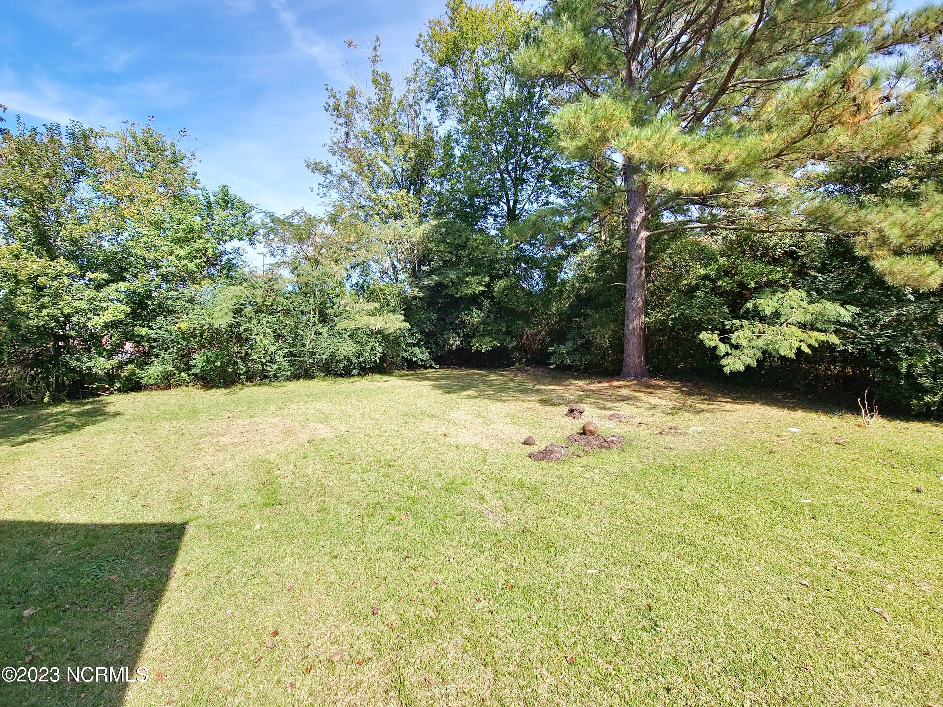 407 Second Street Ayden, NC 28513 - Photo 29 of 37 Backyard