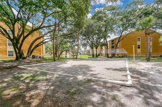 a view of road with large trees