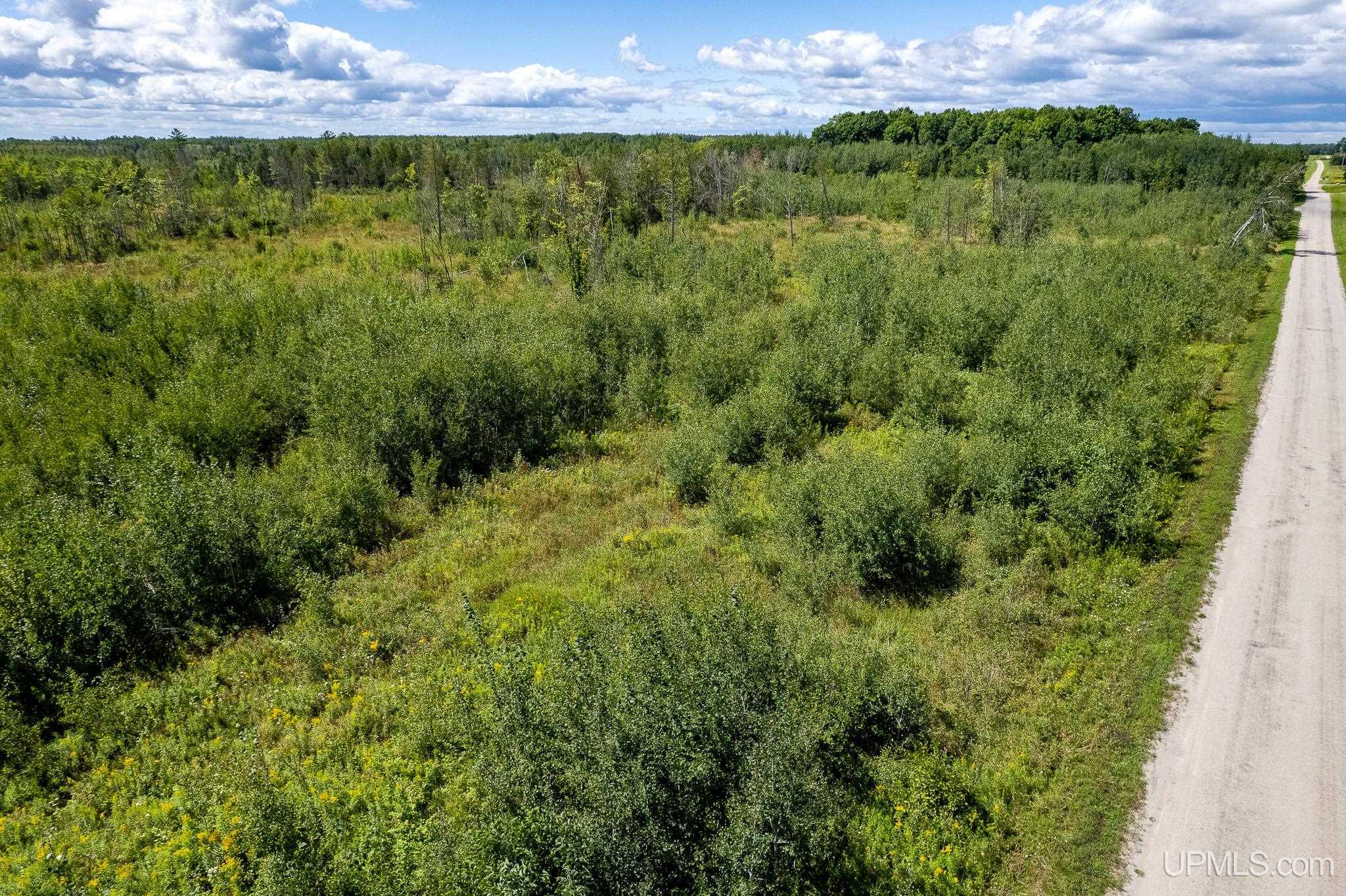 Tbd 19th Lane Escanaba, MI 49829 - Photo 10 of 16
