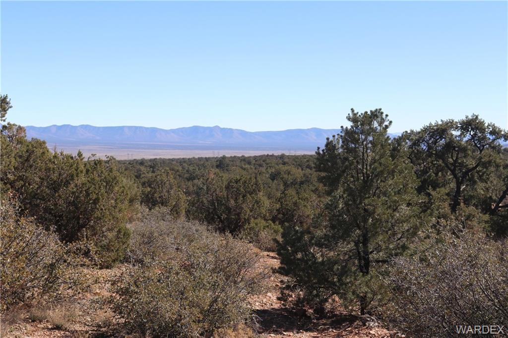 0 Mountain Springs Hackberry, AZ 86411 - Photo 1 of 13 a view of a town with mountains in the background