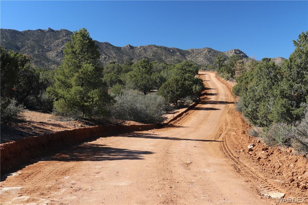 0 Mountain Springs Hackberry, AZ 86411 - Photo 11 of 13 a view of a yard with a yard
